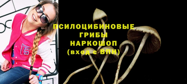 соль ск Горняк