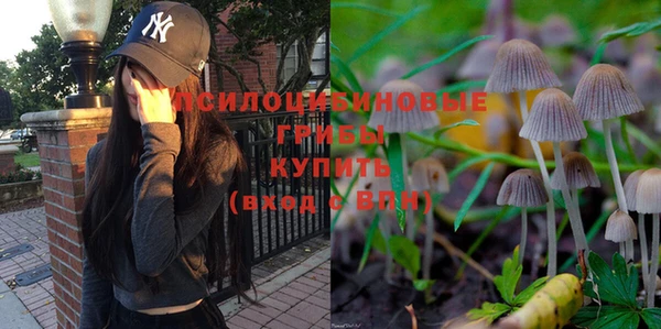 Альфа ПВП Горнозаводск