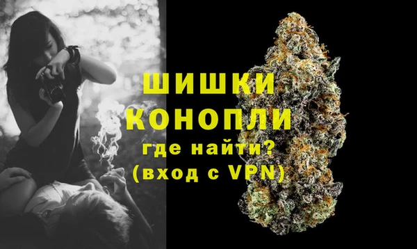 Альфа ПВП Горнозаводск
